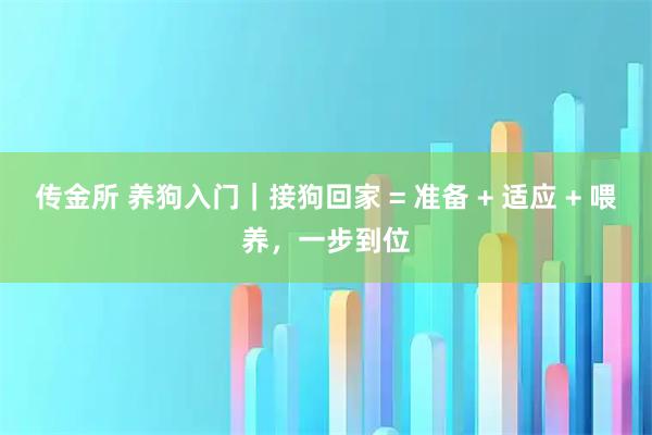 传金所 养狗入门|接狗回家 = 准备 + 适应 + 喂养,一步到位