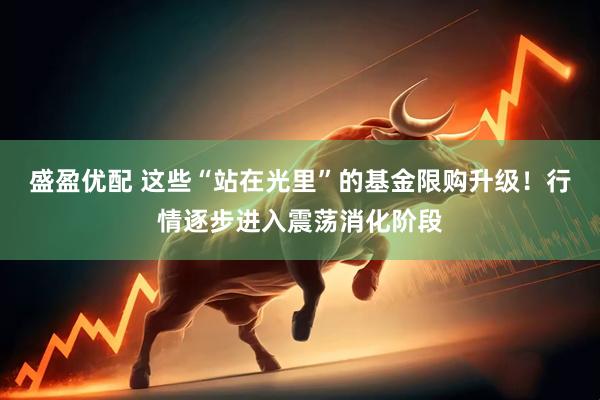 盛盈优配 这些“站在光里”的基金限购升级！行情逐步进入震荡消化阶段