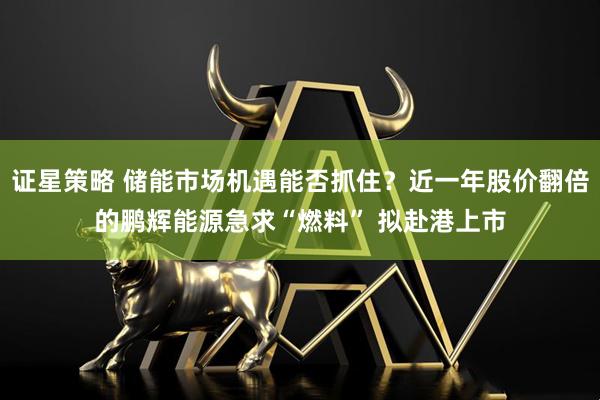 证星策略 储能市场机遇能否抓住？近一年股价翻倍的鹏辉能源急求“燃料” 拟赴港上市